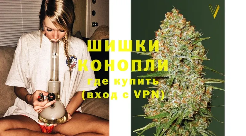 где можно купить наркотик  Городец  мега как войти  Бошки марихуана White Widow 